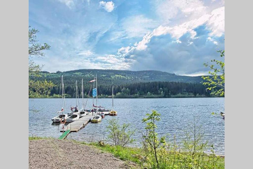 Ferienwohnung Schwarzwald Хинтерцартен Экстерьер фото