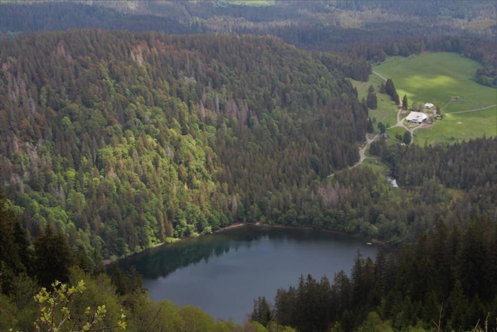 Ferienwohnung Schwarzwald Хинтерцартен Экстерьер фото