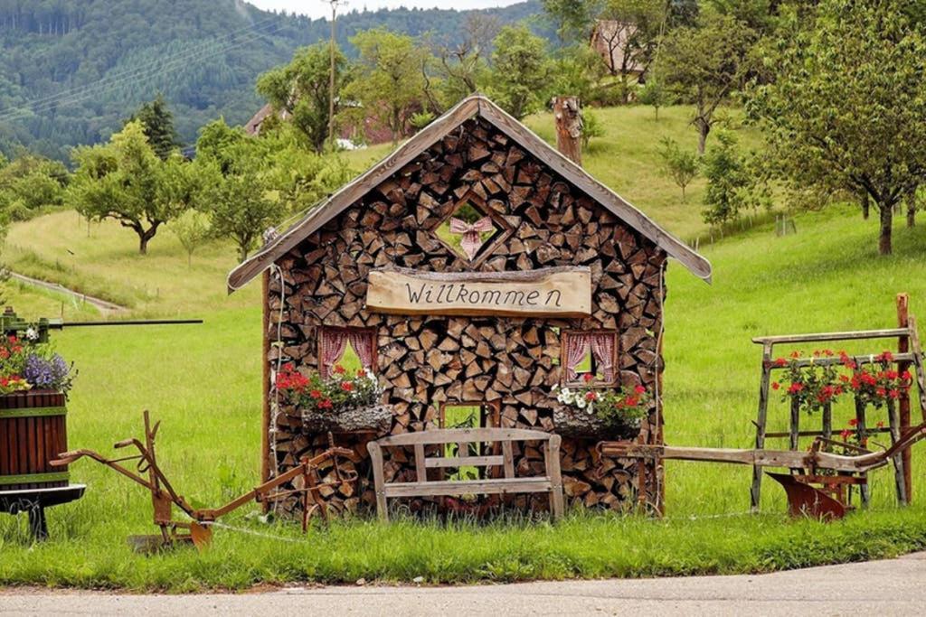 Ferienwohnung Schwarzwald Хинтерцартен Экстерьер фото